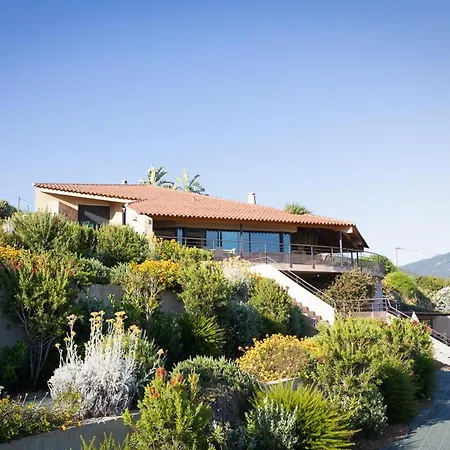 Azur E Castellu - Corse Sud - Pied A Terre Ideal Villa Calcatoggio (Corsica)